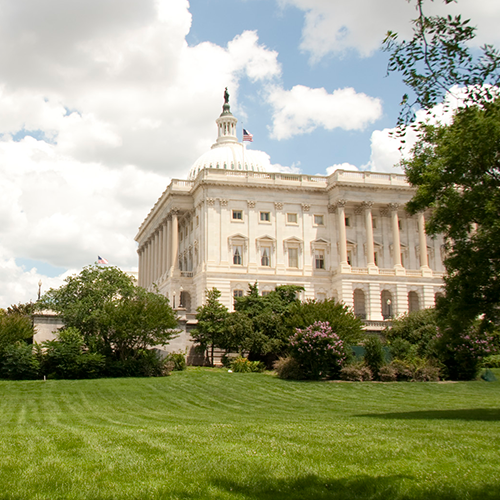 Washington Hotline