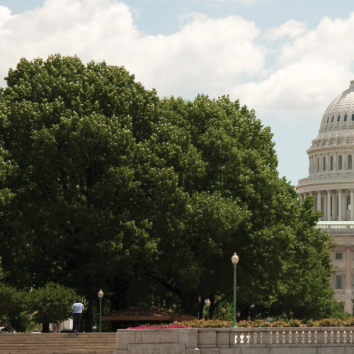 Washington Hotline