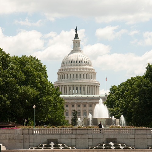 Washington Hotline
