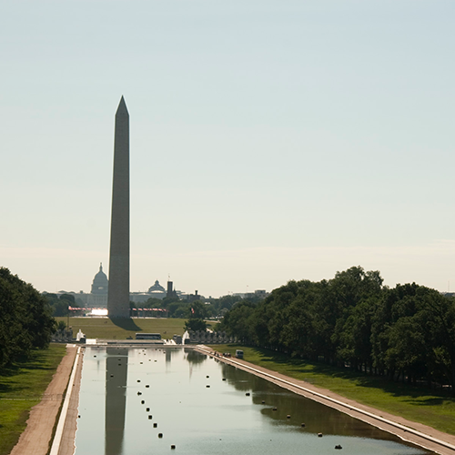 Washington Hotline